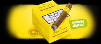 Montosa Amarillo