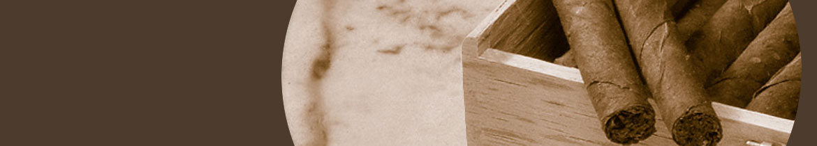 Villiger