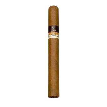 John Aylesbury Garrido Corona 