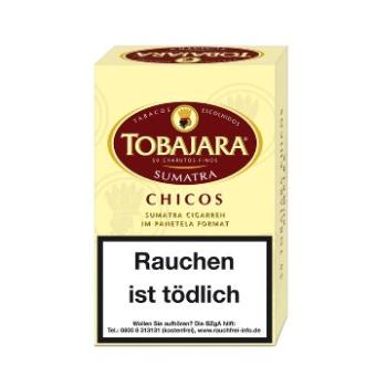 Tobajara Chicos Sumatra 