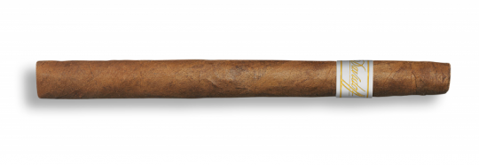 Davidoff Signature Exquisitos 1 Zigarre