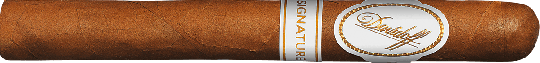 Davidoff Signature No. 1000 1 Zigarre