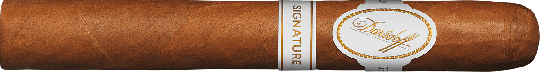 Davidoff Signature  2000 