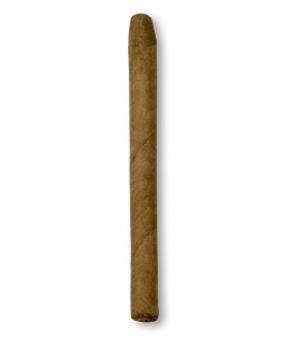 Jacob van Meer Cigarillo 