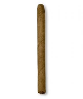 Jacob van Meer Cigarillo 25 Zigarillos