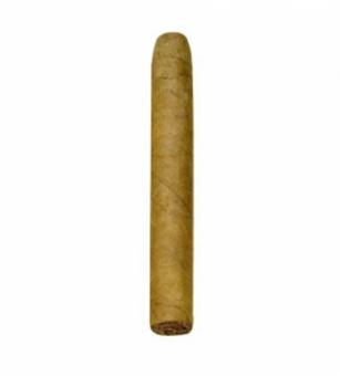 Jacob van Meer Petit Corona 25er Kiste