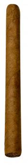 Jacob van Meer Slanke Corona 25er Kiste