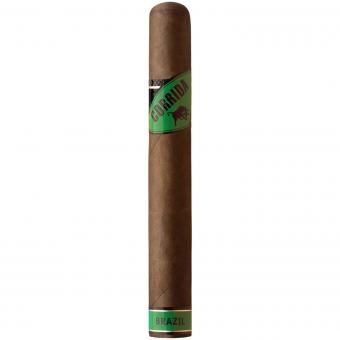 CORRIDA BRAZIL Toro+ 