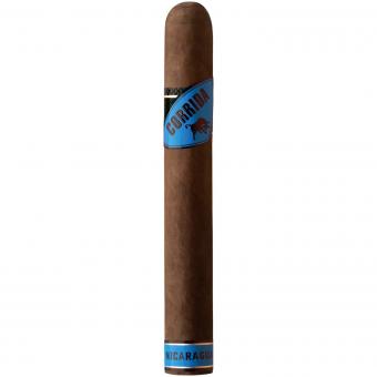 CORRIDA NICARAGUA Toro+ 
