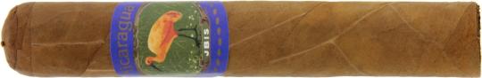 Ibis Robusto Nicaragua 