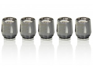 Steamax V8 Baby Q2 Core Heads 5er-Pack 