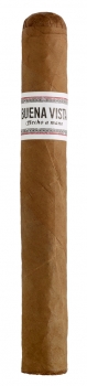 Buena Vista Toro