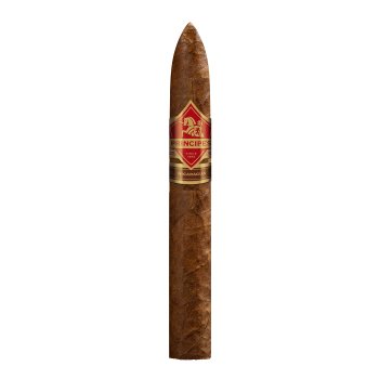 Principes Nicaragua Belicoso