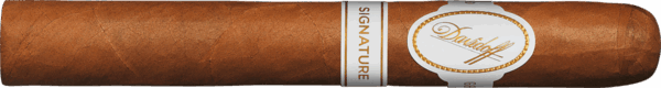 Davidoff Signature  2000