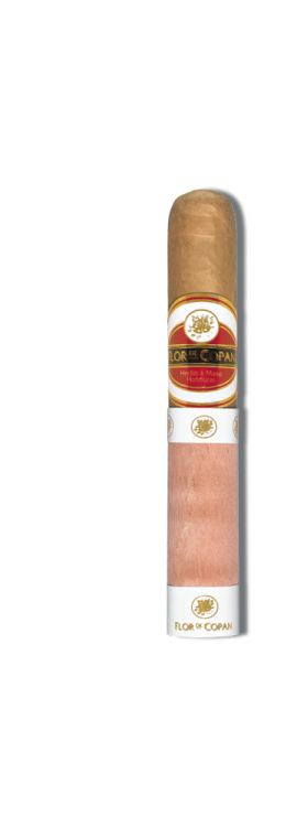 Flor de Copán Classic Perla
