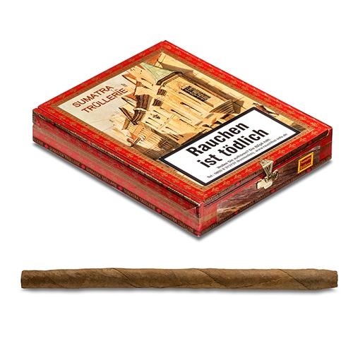 Sumatra-Trüllerie Eldorado Longo