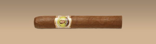 Bolivar Corona Junior
