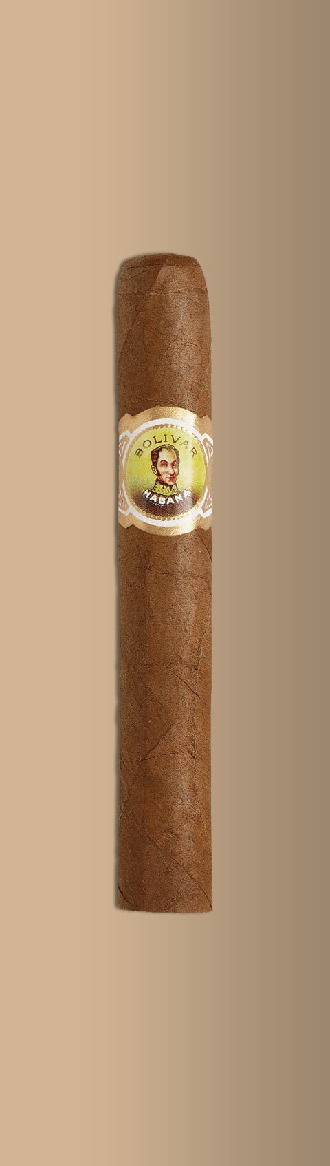 Bolivar Corona Junior