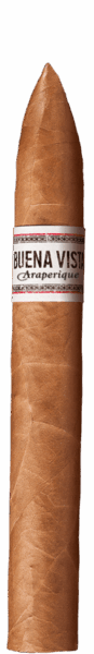 1_buena-vista-araperique-belicoso