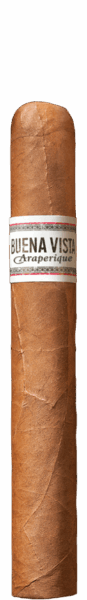1_buena-vista-araperique-toro