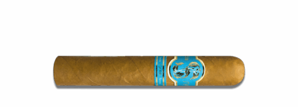 Matilde Serena Robusto