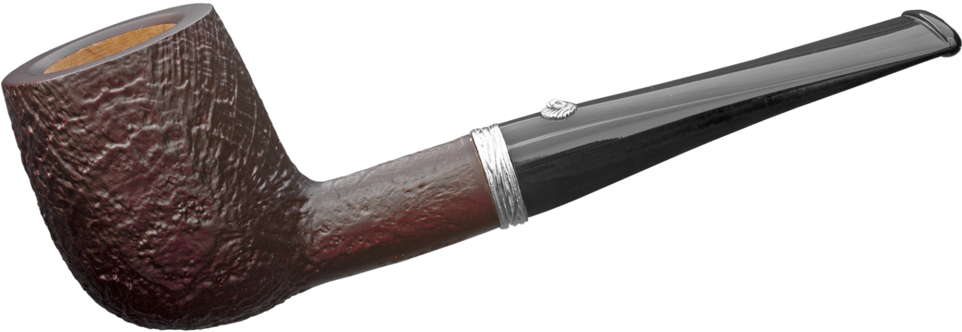 1_nelson-fossil1812-1_1920x1920