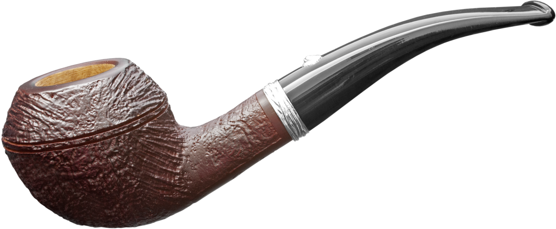 1_nelson-fossil1819-1_1920x1920