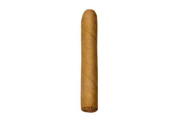 Jacob van Meer Mini Robusto