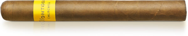 Montosa Amarillo Churchill