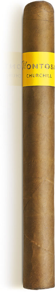 Montosa Amarillo Churchill