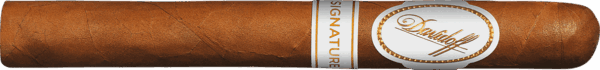Davidoff Signature 1000