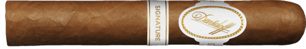 Davidoff Signature 6000