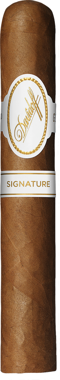 Davidoff Signature 6000