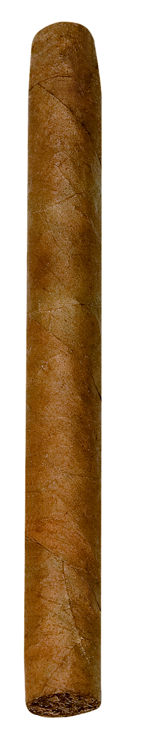 Jacob van Meer Panatella