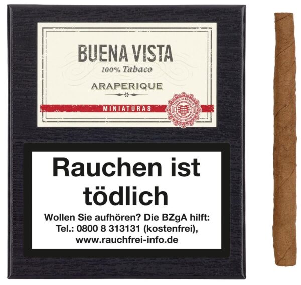 Buena Vista Miniatures