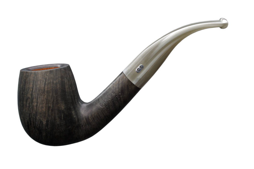 1_jurassic100-1xxv3mjmox9ain