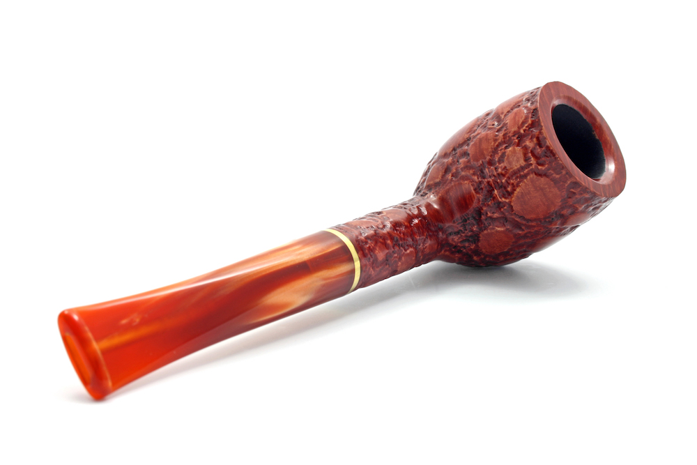 5_alligator-rd-128-5