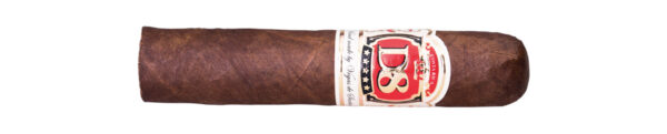 Vegas de Santiago D8 Petit Robusto
