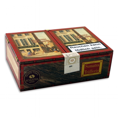 Sumatra-Trüllerie Bajazzo Senorita