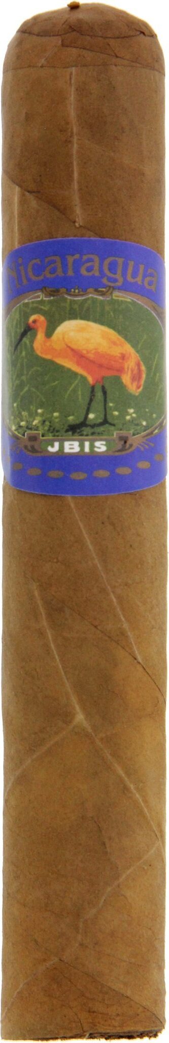 Ibis Robusto Nicaragua