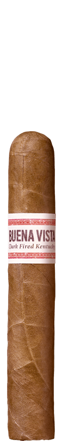 Buena Vista Dark Fired Kentucky Robusto