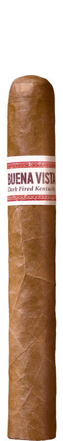 Buena Vista Dark Fired Kentucky Toro