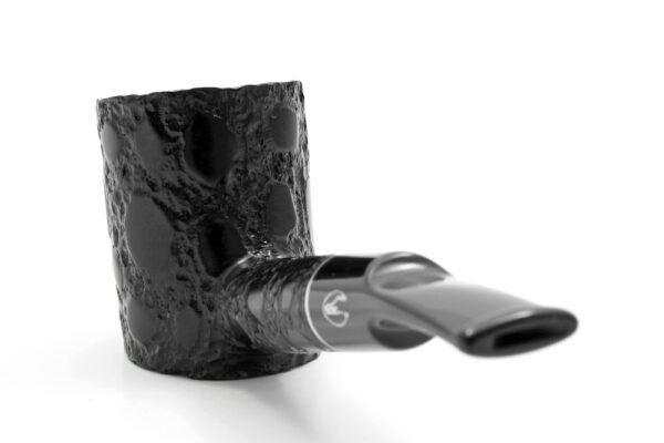 3_alligator-bk-311-4