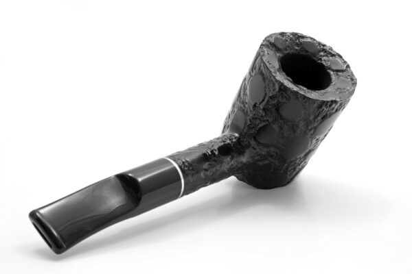 4_alligator-bk-311-5