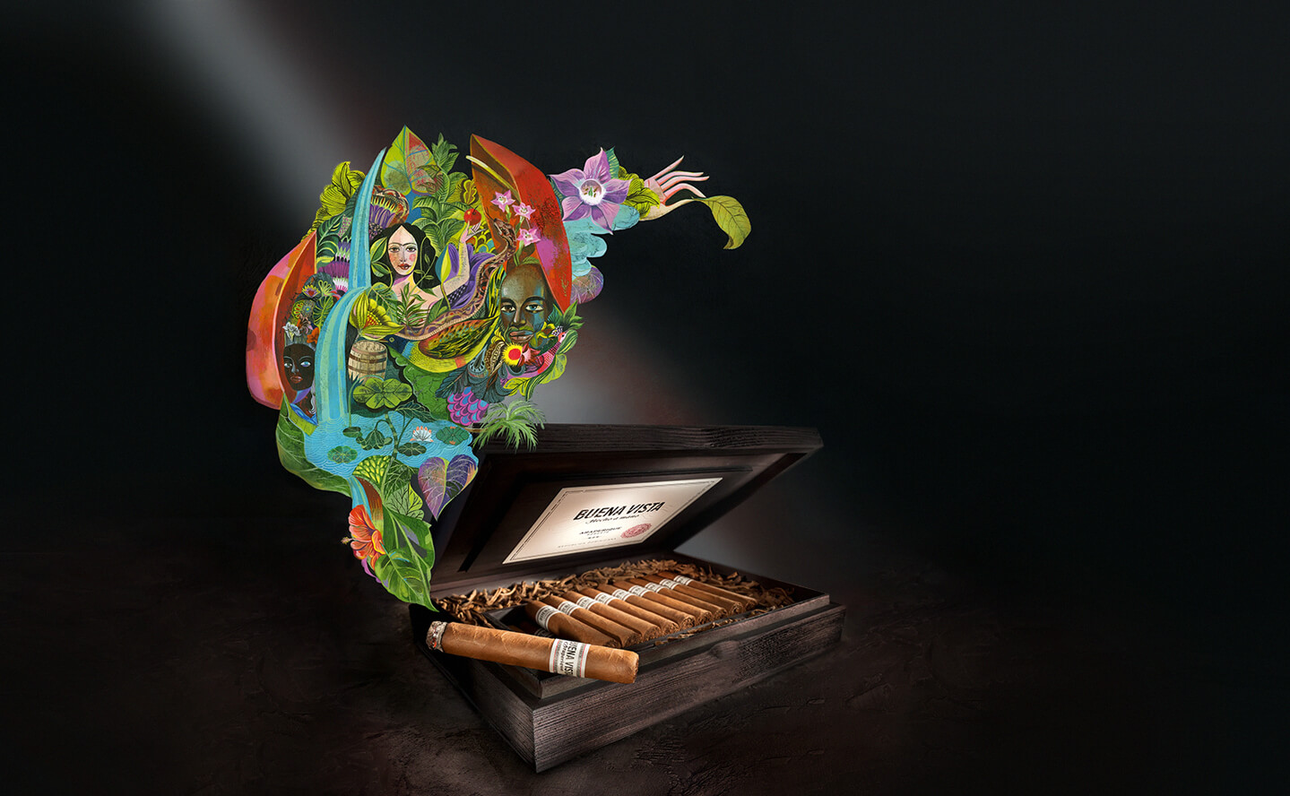 Buena Vista Araperique