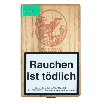 DE OLIFANT Emotion Bahia Brasil Corona